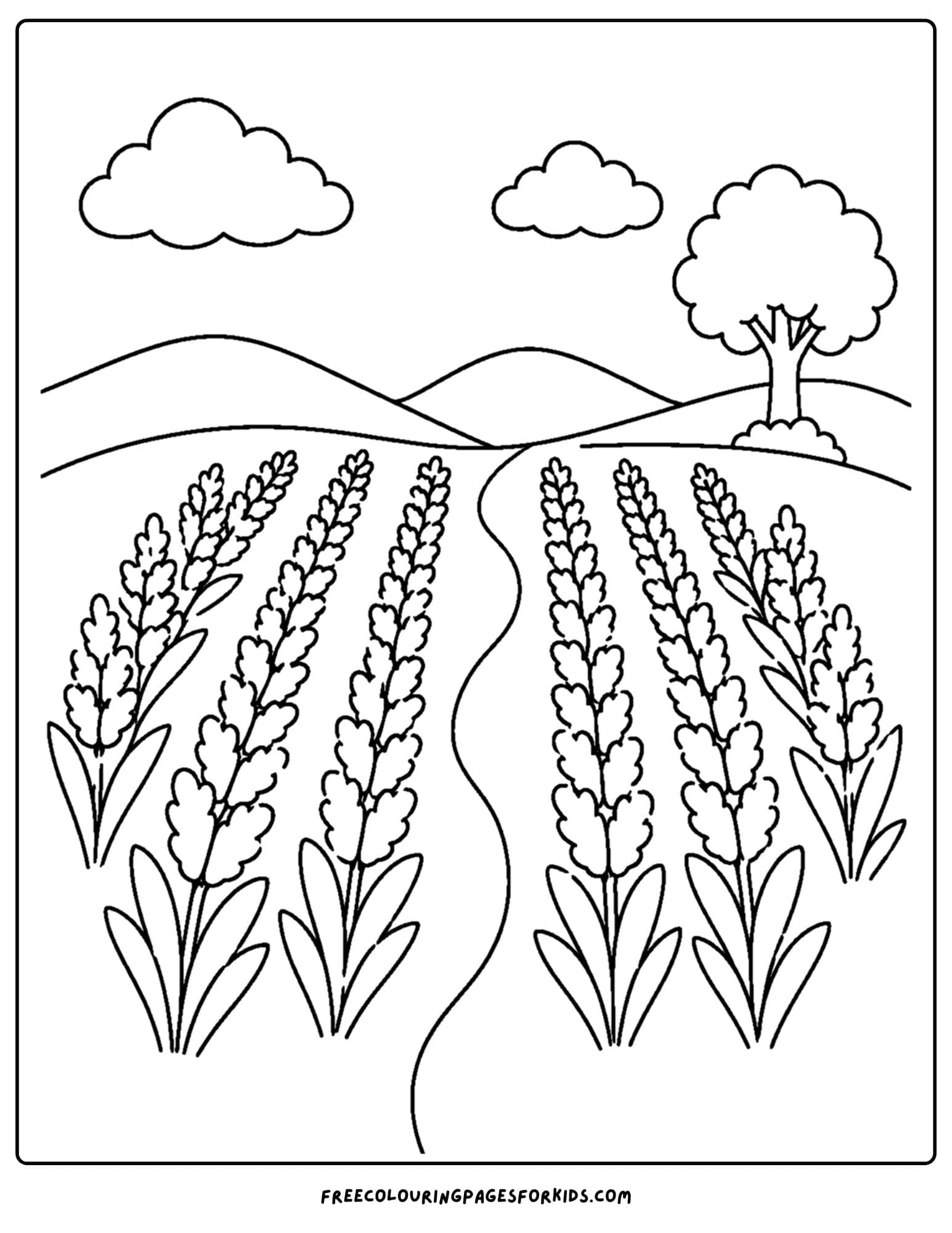 a coloring page of a flower field of lavender in the hills