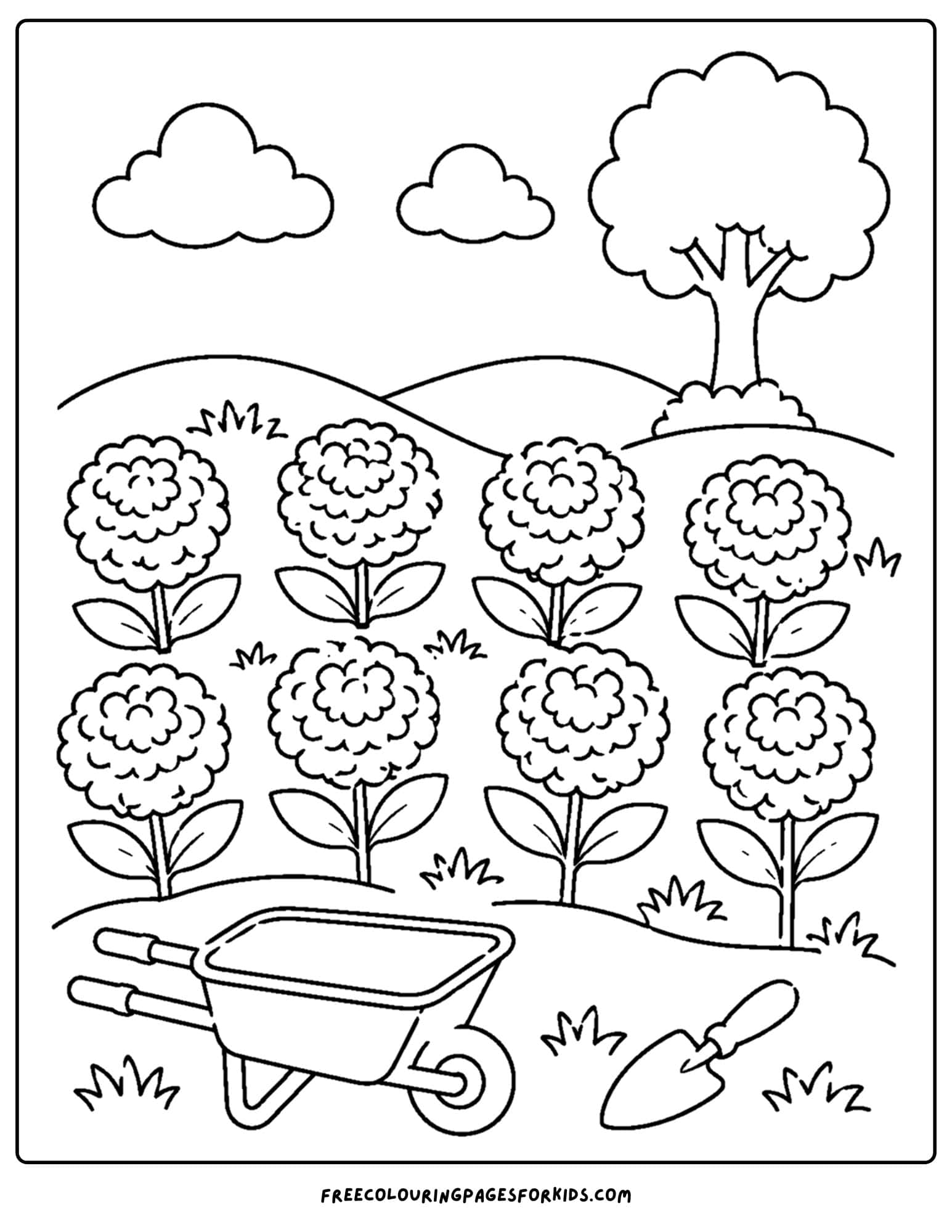a coloring page of a flower field of marigolds