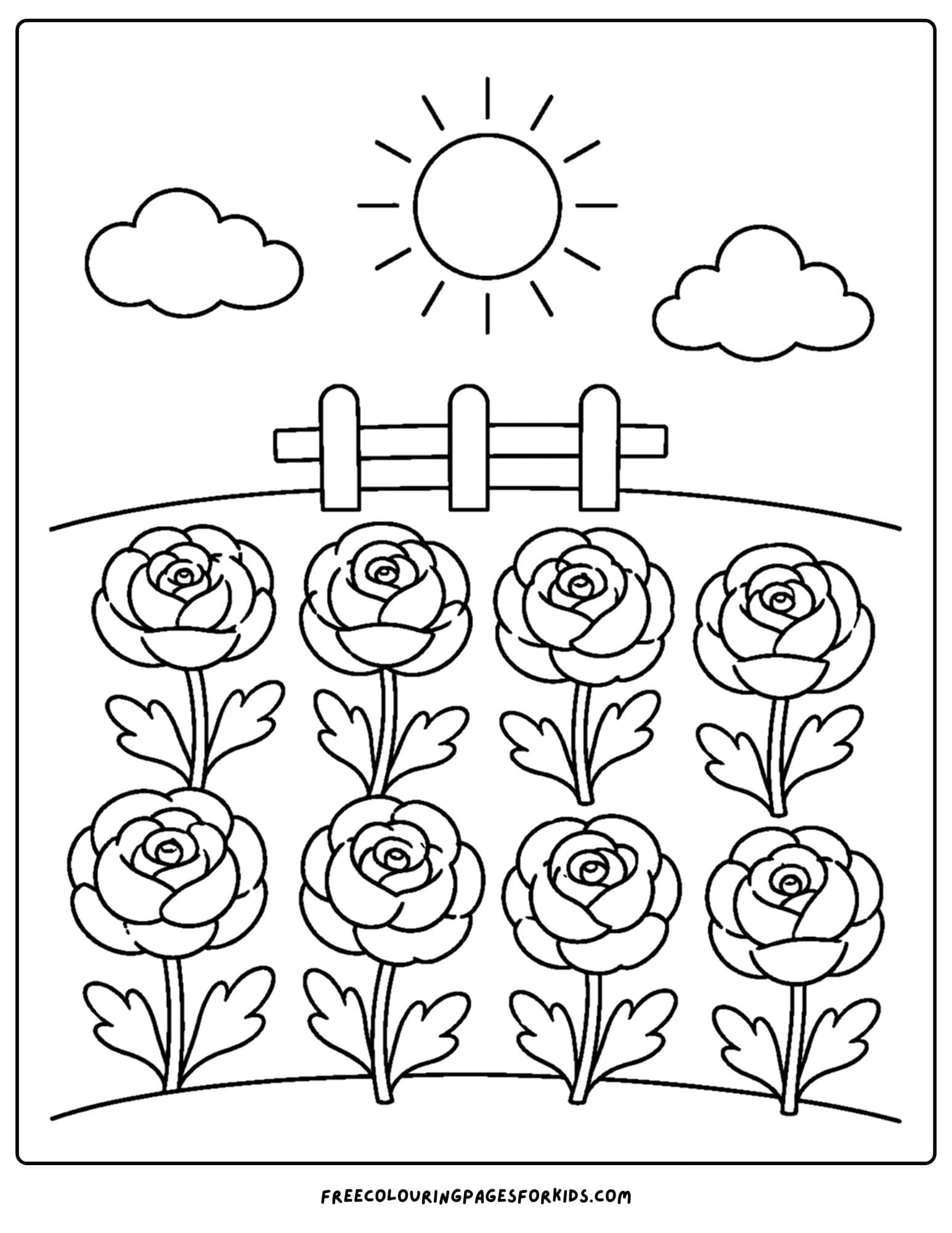 a coloring page of a flower field full of ranunculus