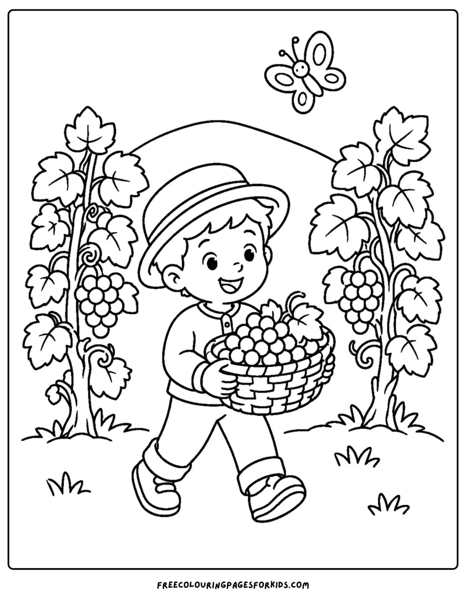 a france themed coloring page of a farmer picking grapes