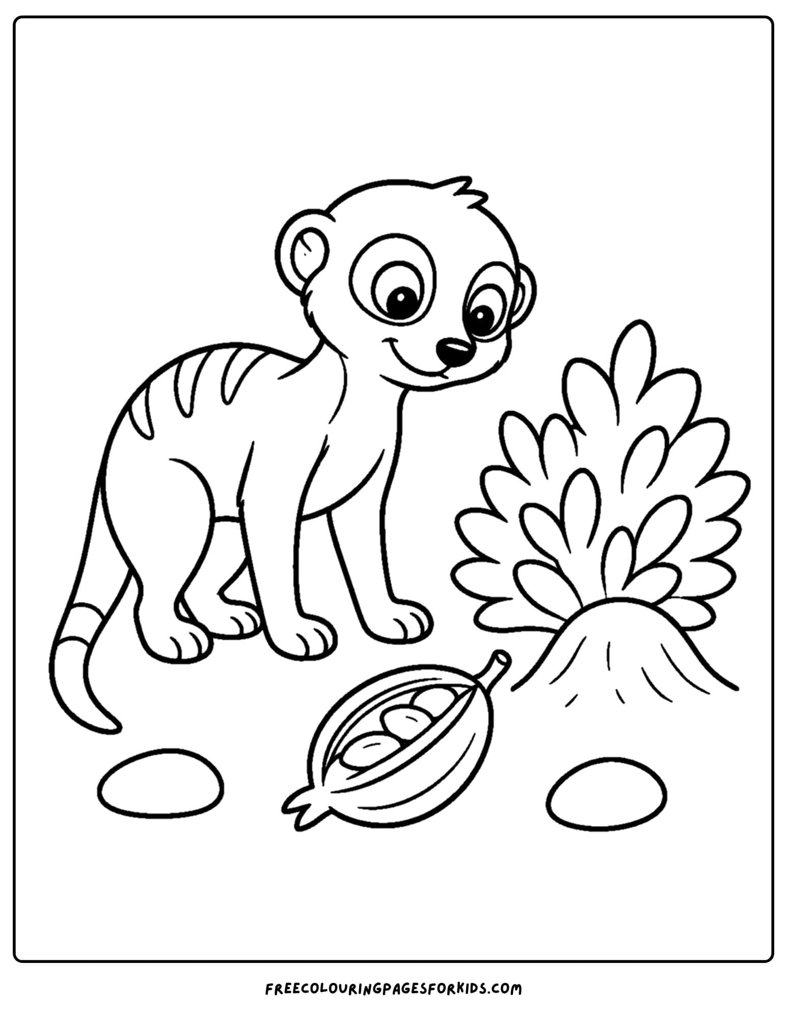 a coloring page of a meerkat looking at a seed pod on the ground