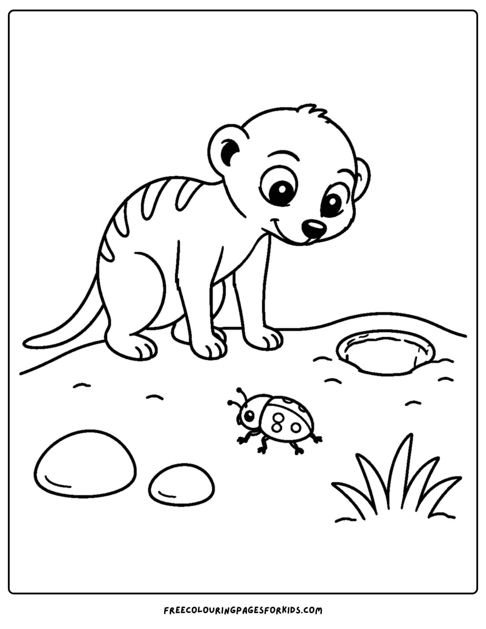 a coloring page of a meerkat watching a beetle on the ground