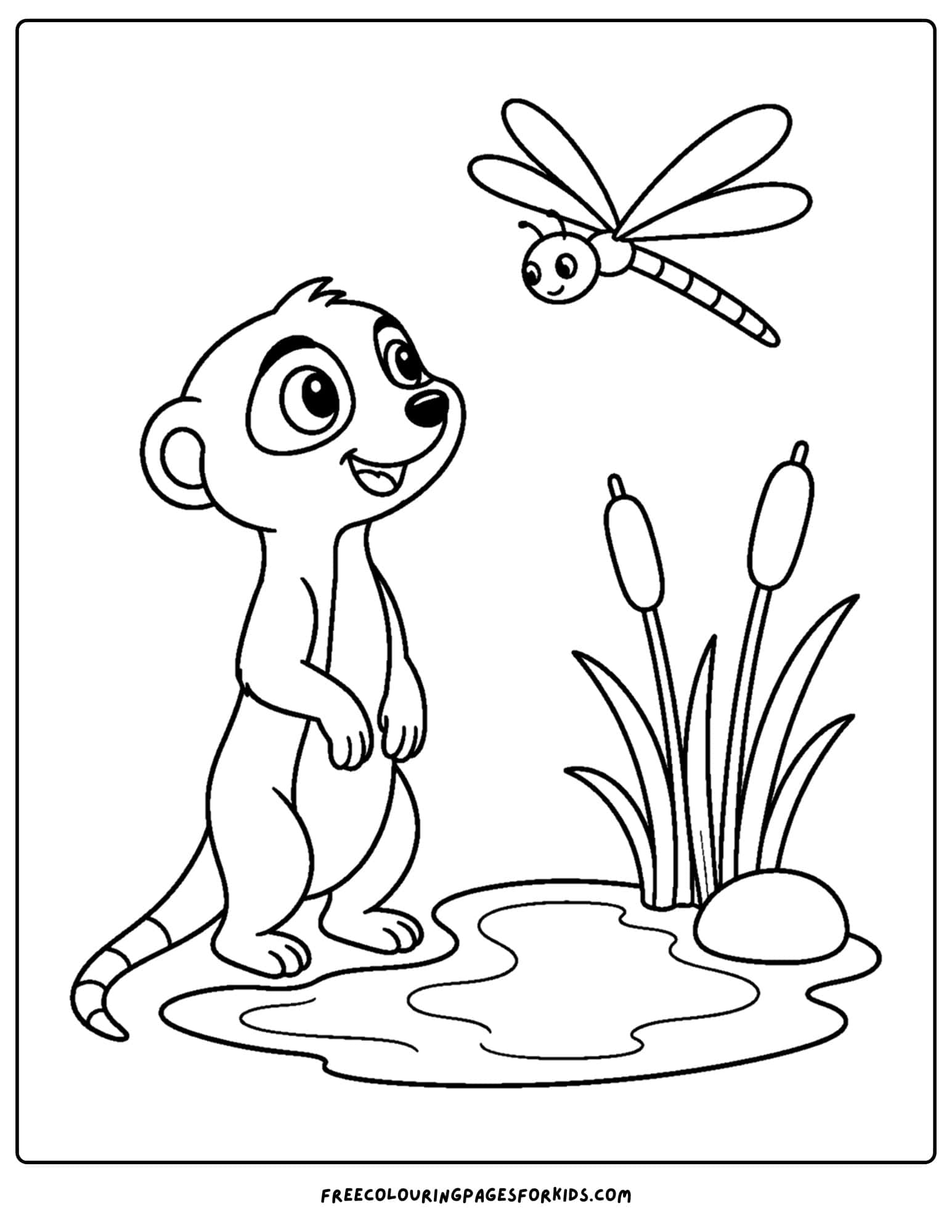 a coloring page of a meerkat beside a watering hole looking at a dragonfly