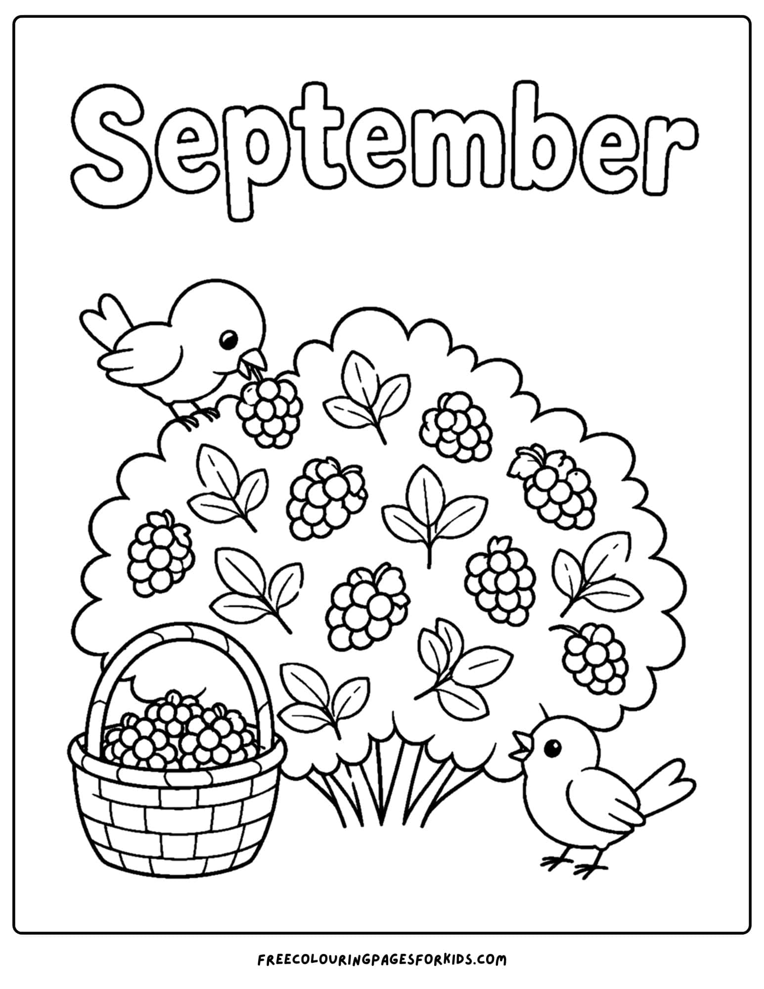 a september coloring page showing a berry bush with birds