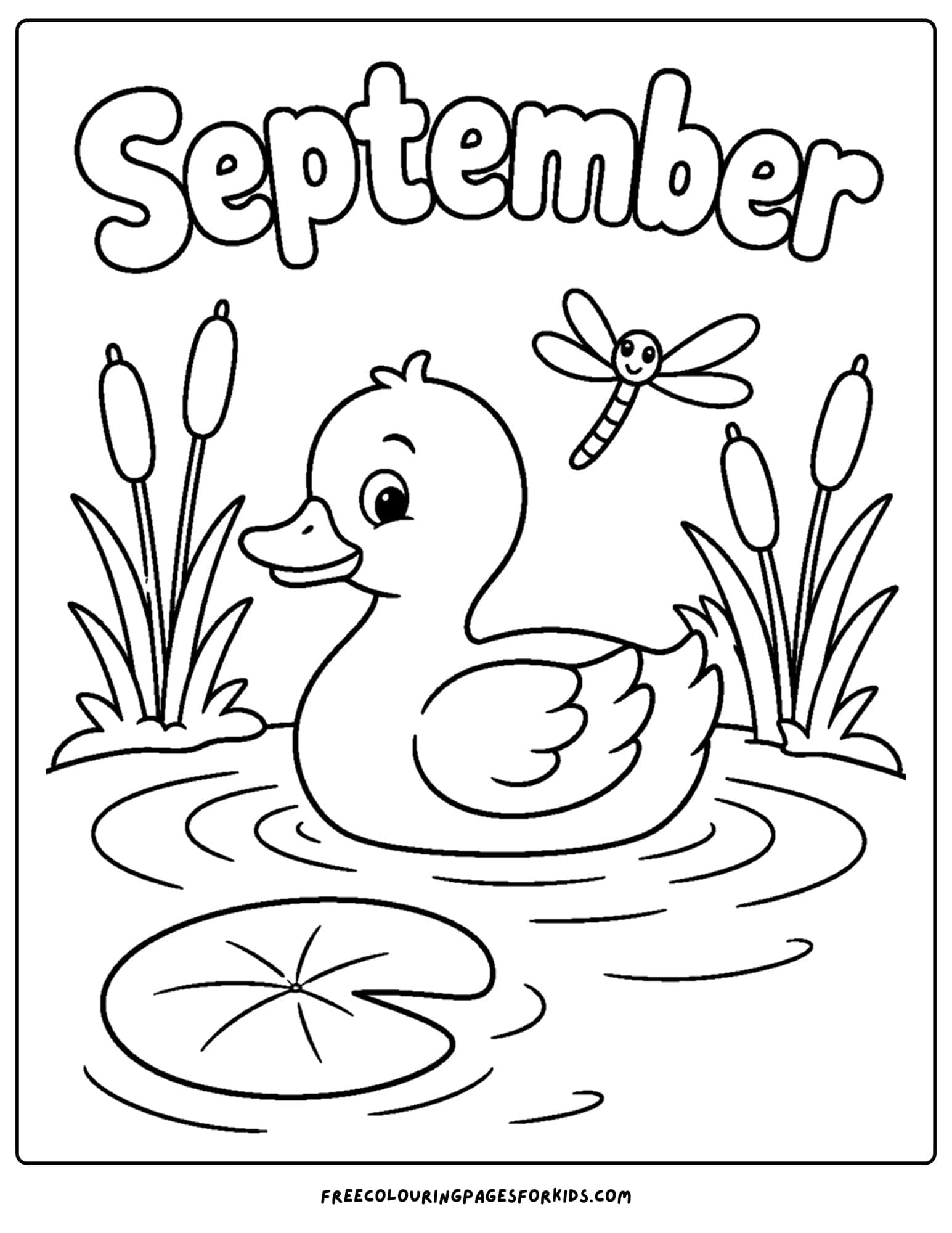 a september coloring page showing a duck on a pond amongst some cat tails
