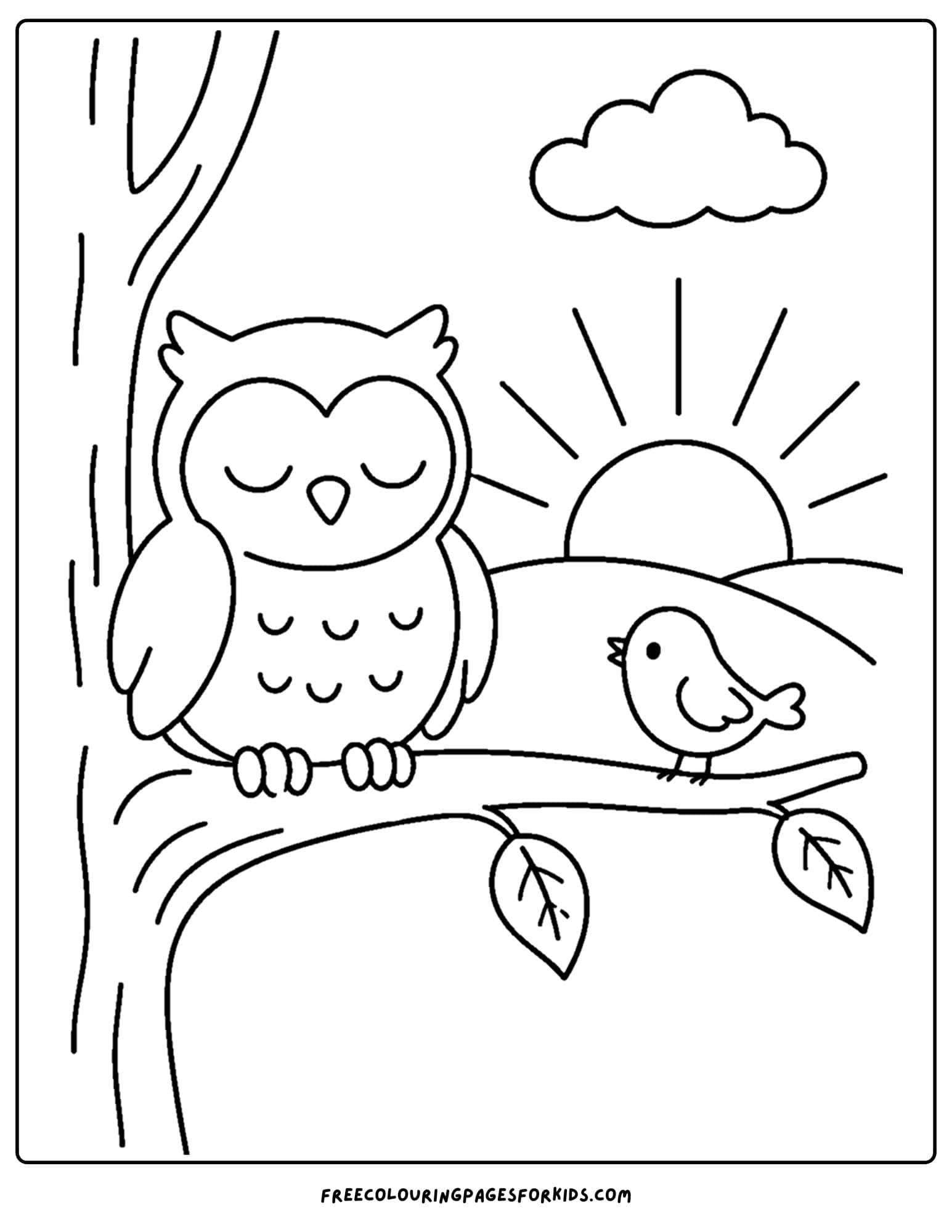 a sunrise styled coloring page showing an owl sleeping on a tree branch
