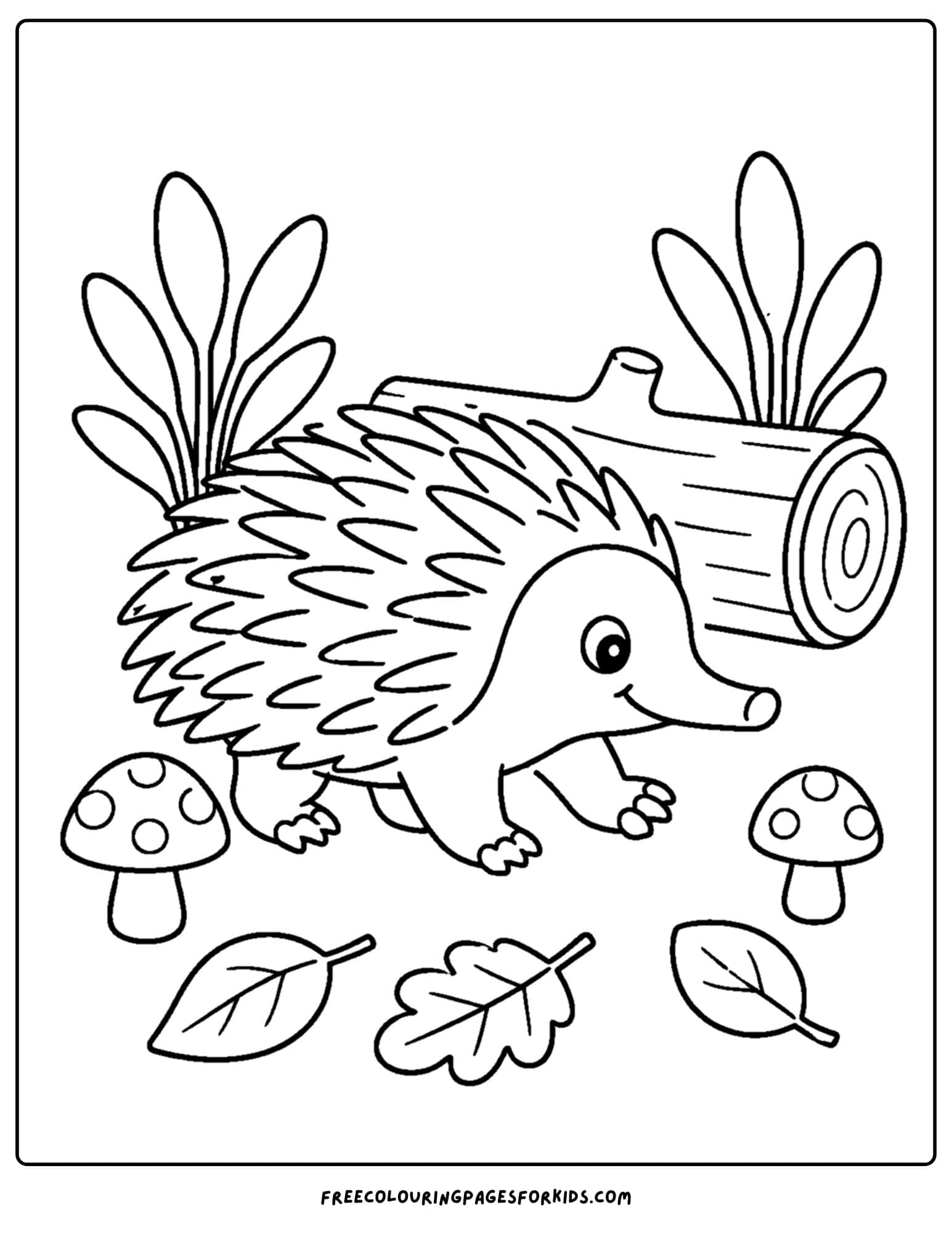an australian animal coloring page featuring an echidna beside a fallen log
