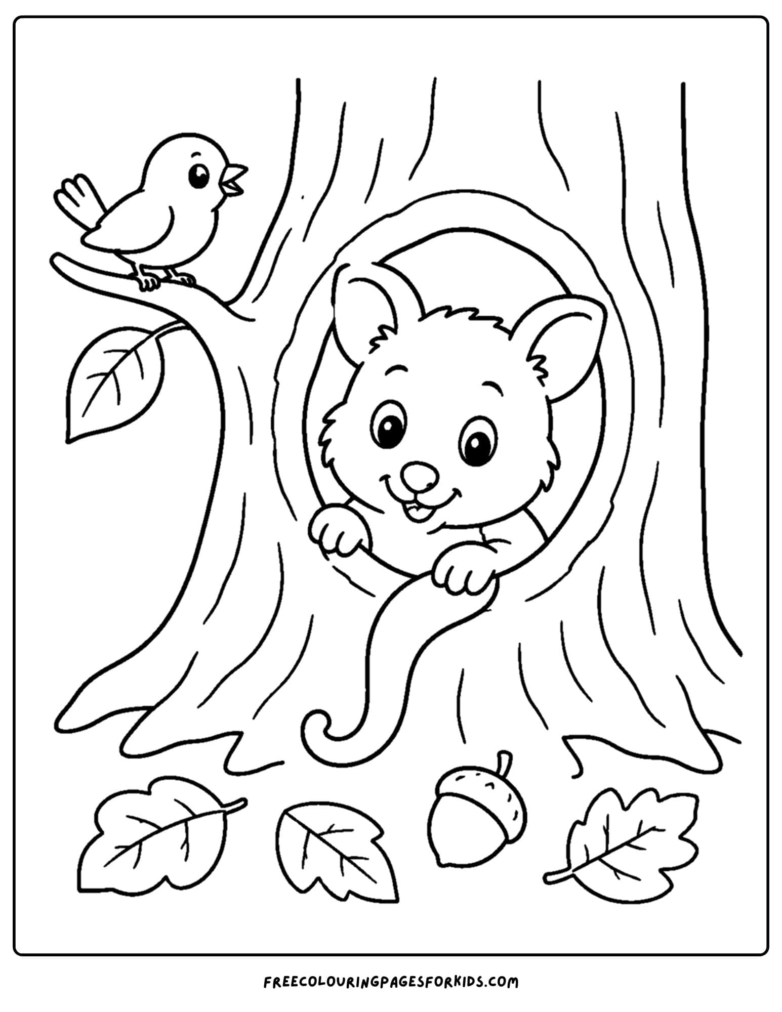 an australian animal coloring page featuring a possum inside a tree