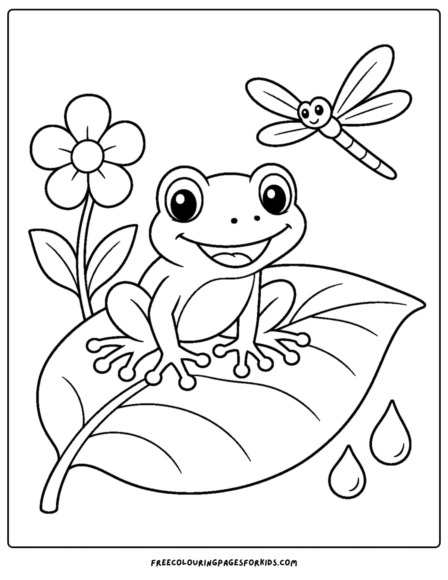 an australian animal coloring page featuring a tree frog on a leaf