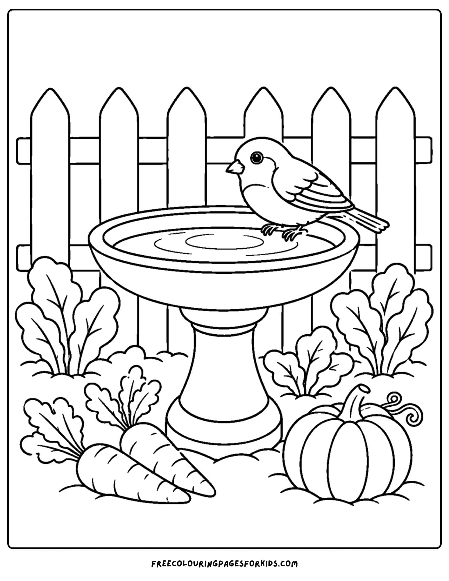 a coloring page of a bird bath in a vegetable garden with a finch