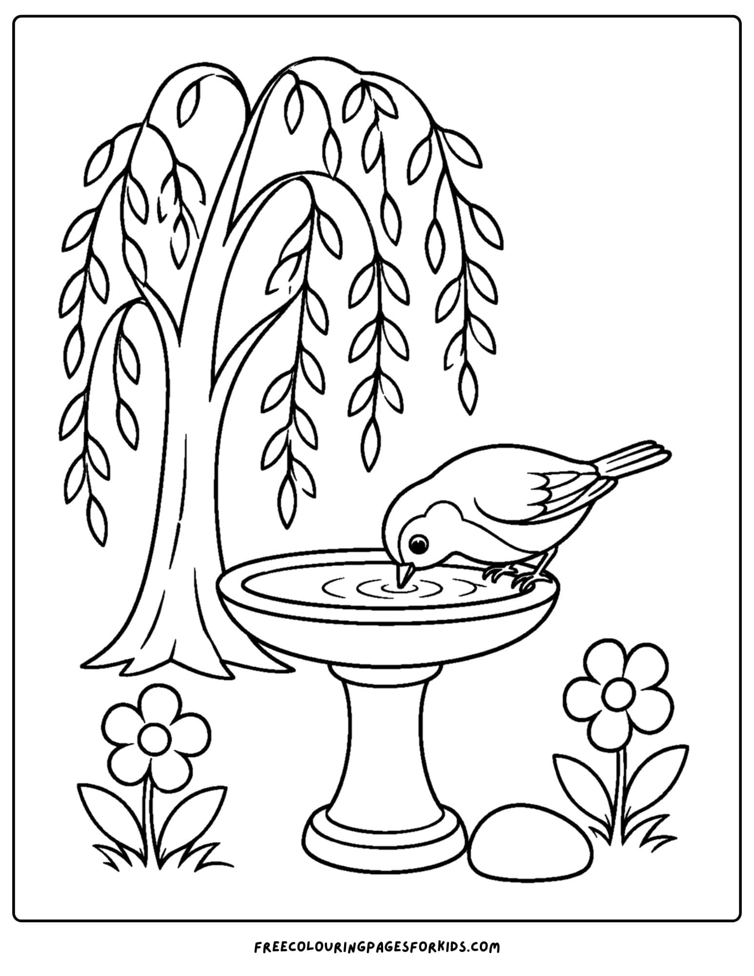 a coloring page of a bird bath with robin at the bird bath beside a willow tree