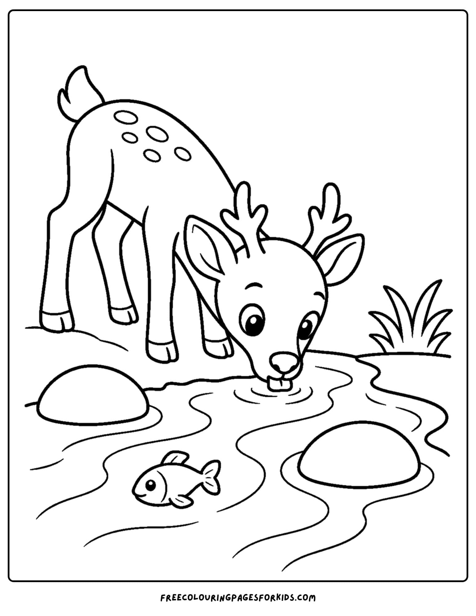 a coloring page of a deer taking a drink from a stream