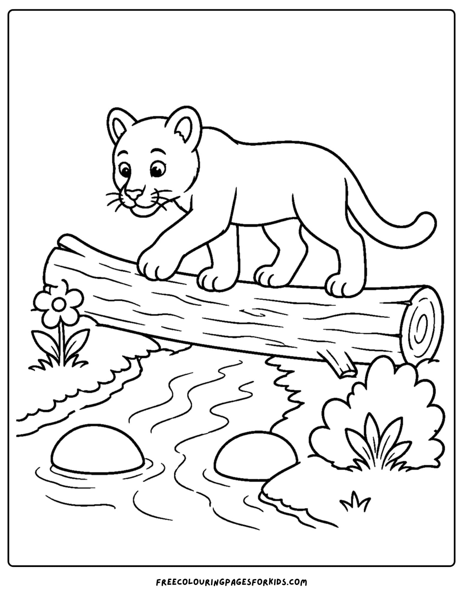a coloring page of a mountain lion crossing a creek by walking over a log