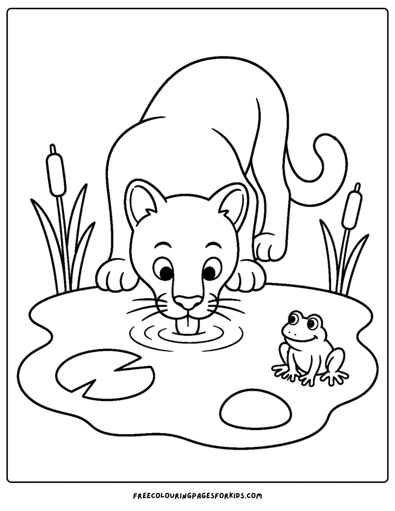 a coloring page of a mountain lion drinking from a quiet pond