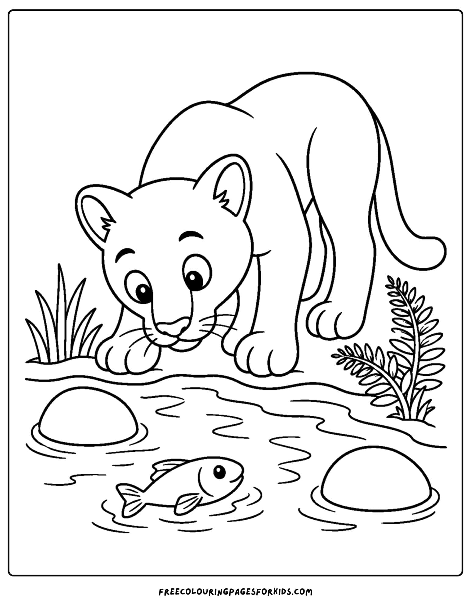 a coloring page of a mountain lion drinking from a shallow stream