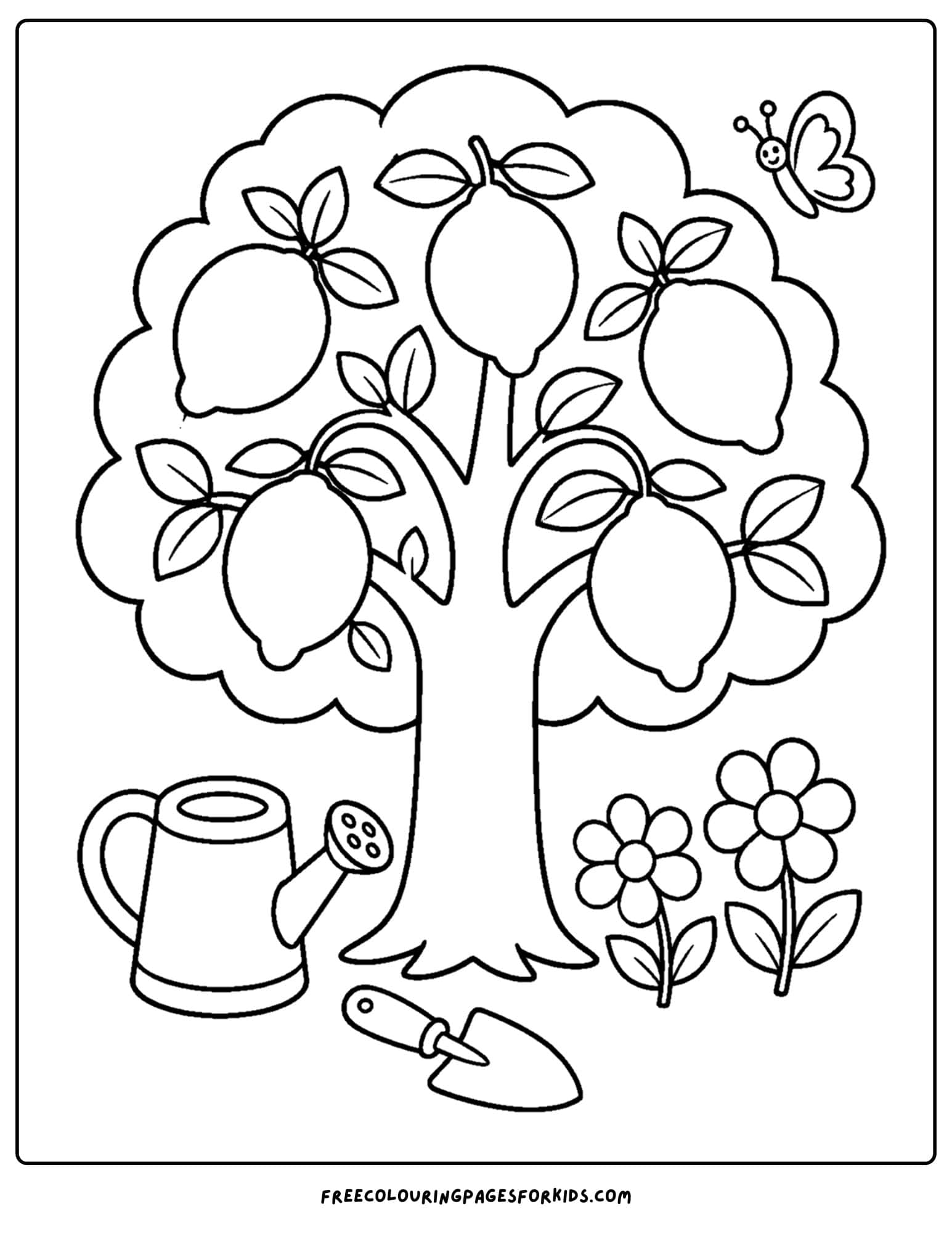 a coloring page of a lemon tree with lemons on it