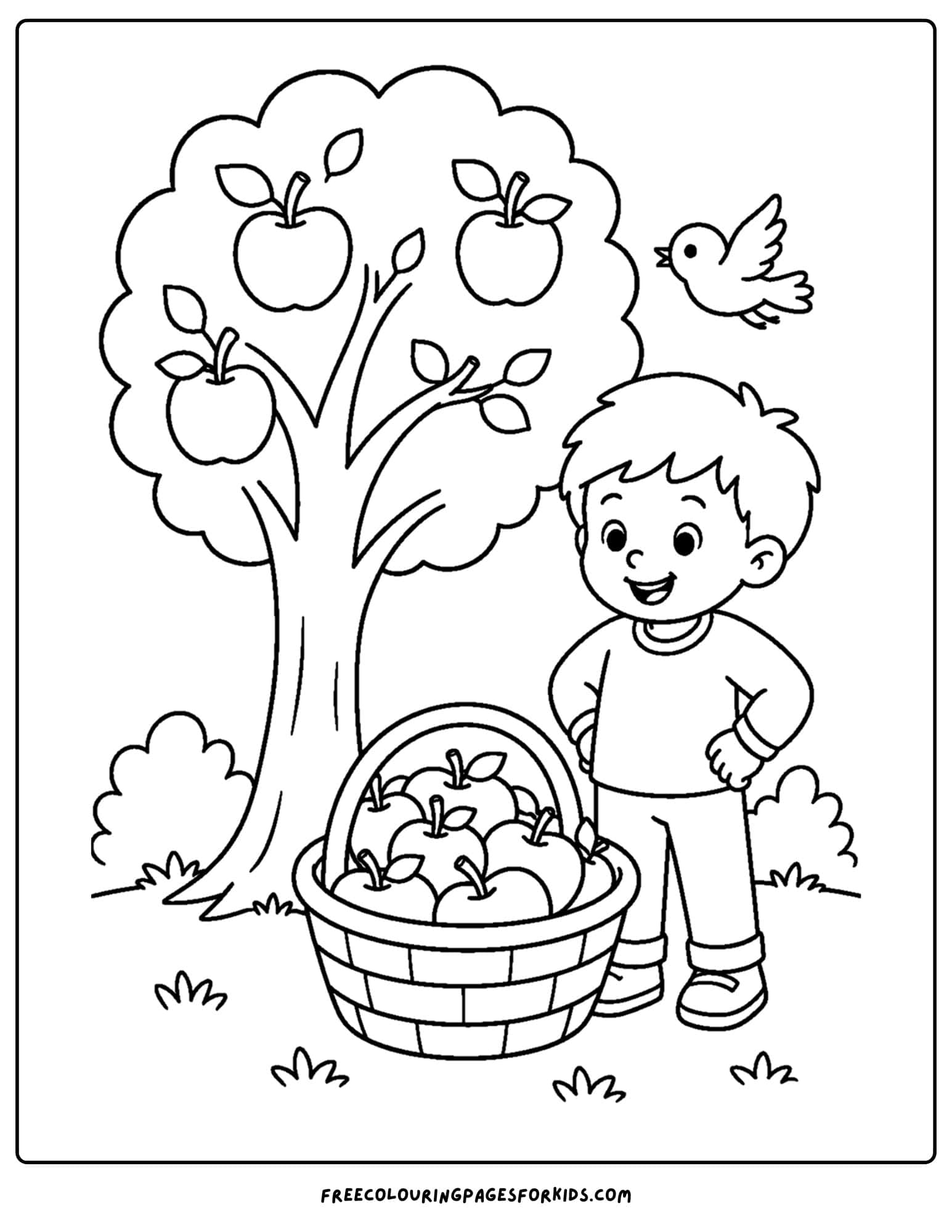 an apple picking coloring page showing a kid with a big basket of apples under the apple tree