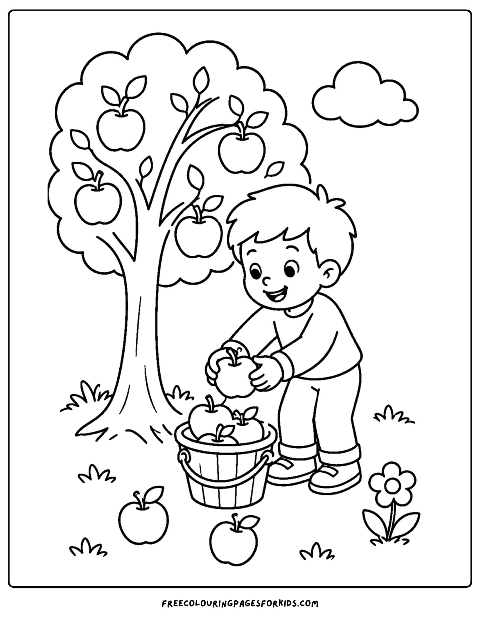 an apple picking coloring page showing a child filling a bucket with apples from the tree