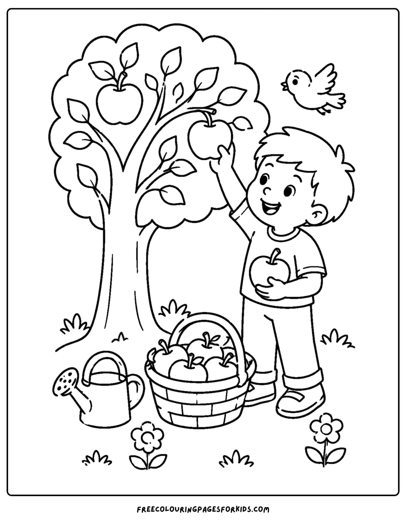 an apple picking coloring page showing a child picking apples from the tree to put into a basket