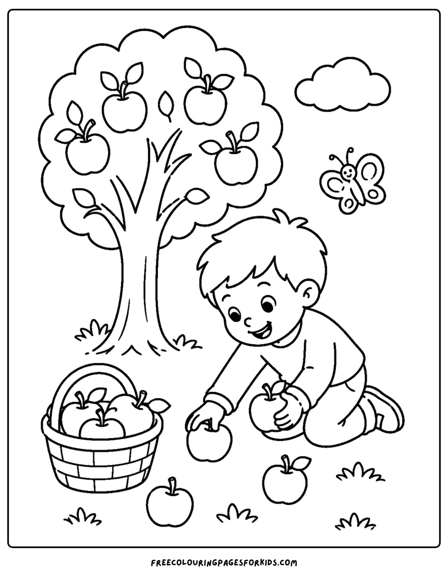 an apple picking coloring page showing a child picking apples up from the ground