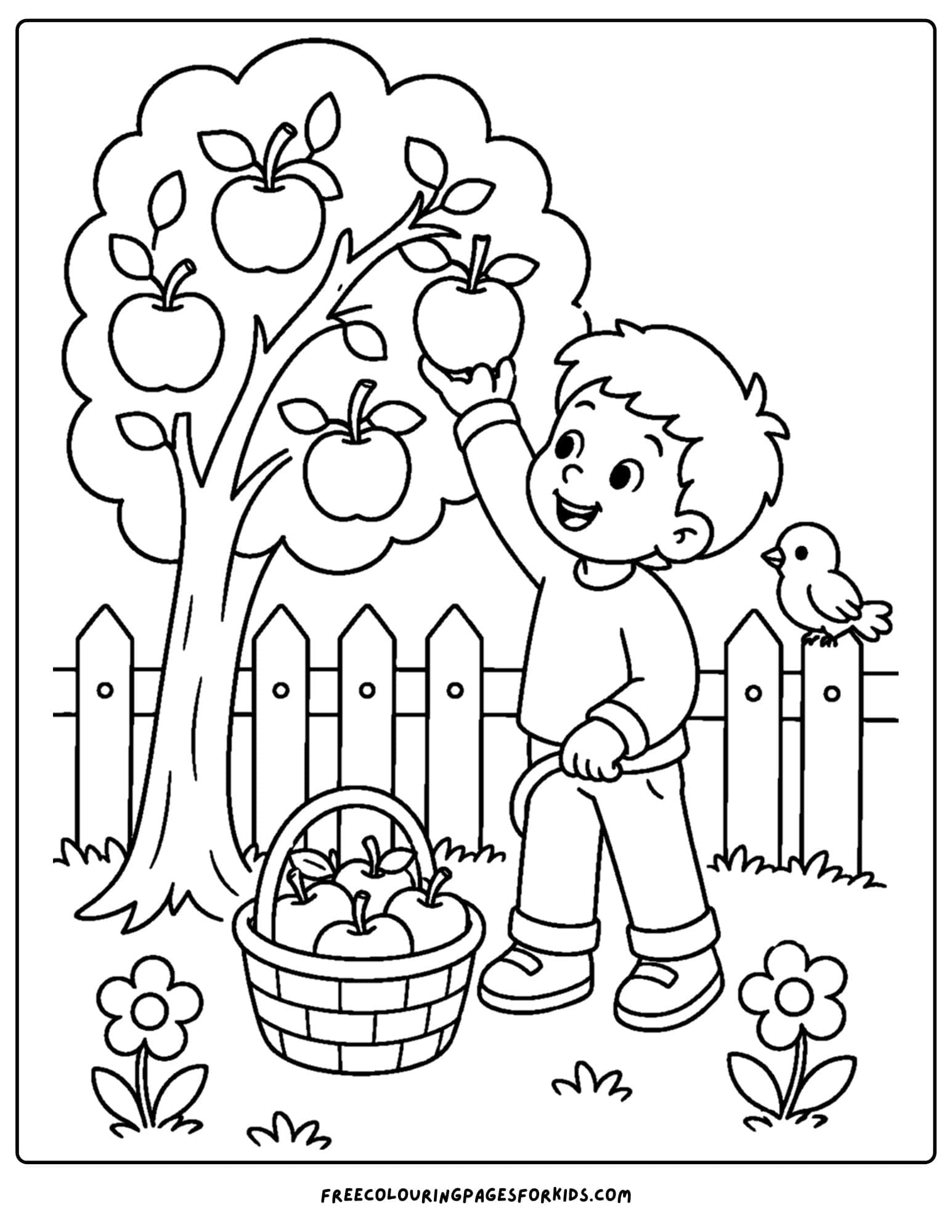 an apple picking coloring page showing a child picking apples from the tree by the fence