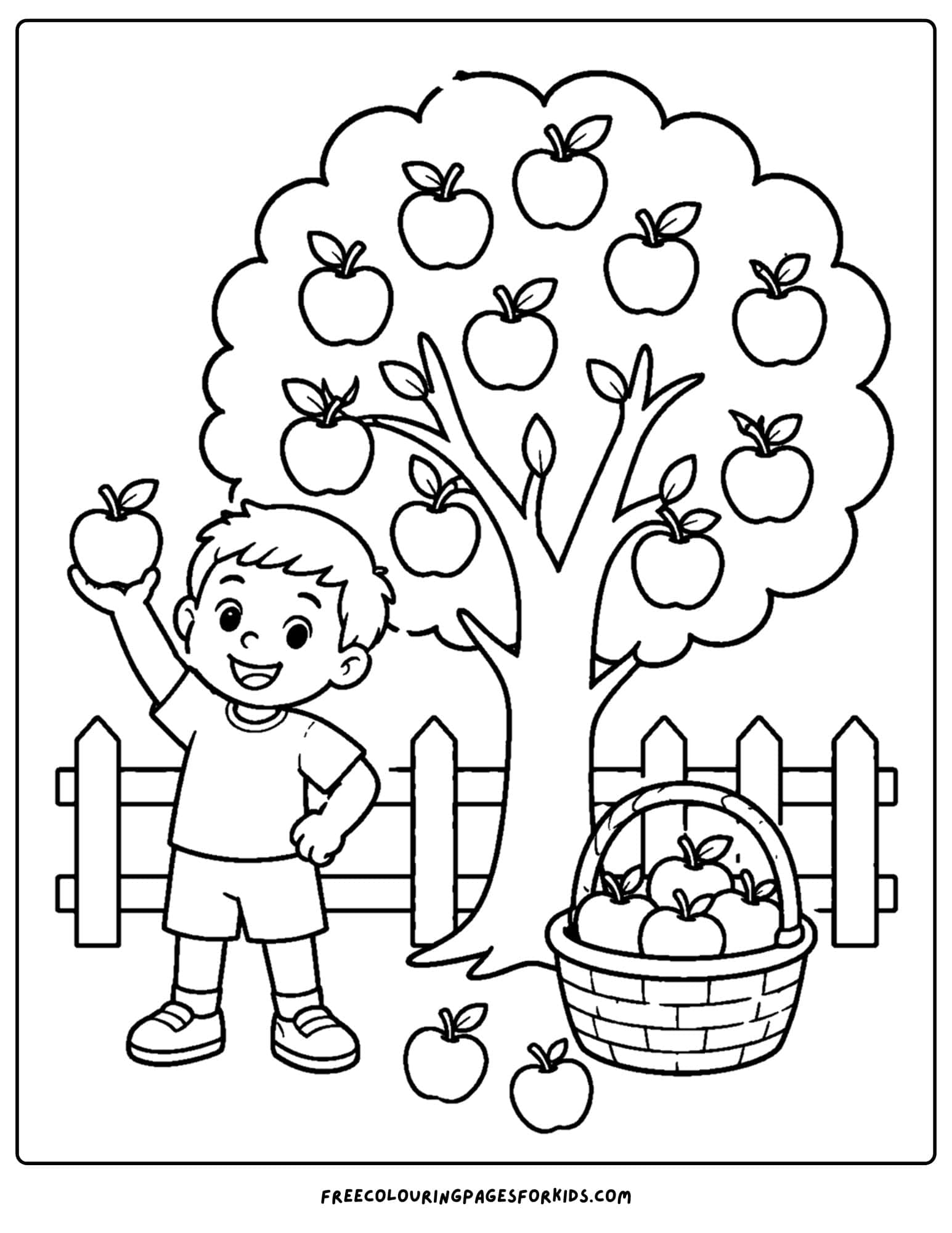an apple picking coloring page showing a child picking the first apple from the tree
