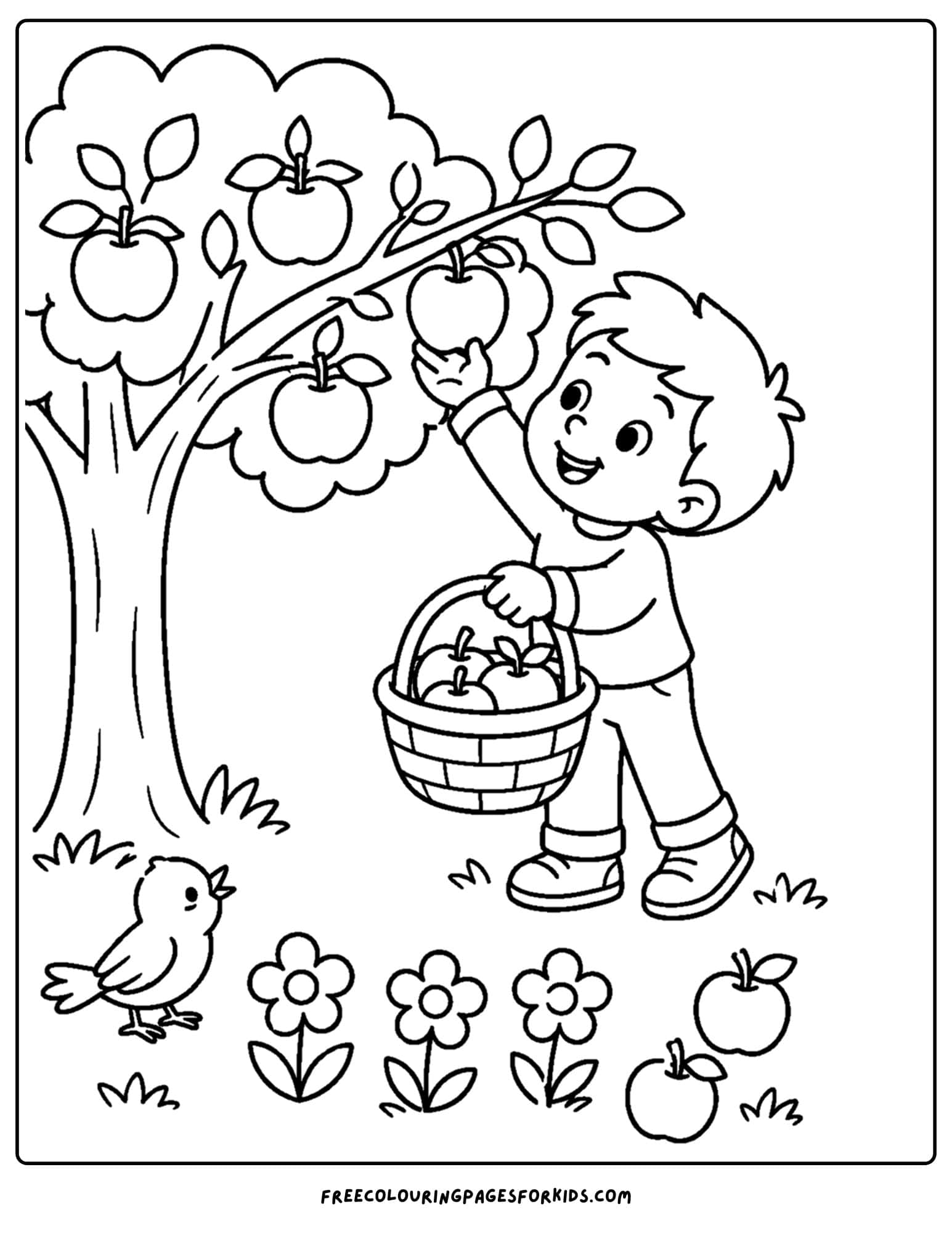 an apple picking coloring page showing a child getting apples from a low branch on a tree