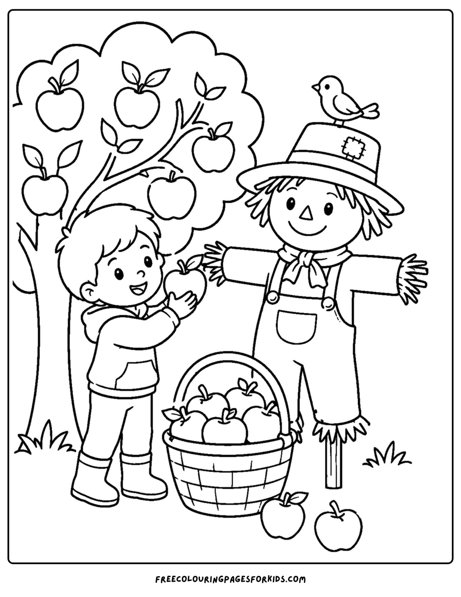an apple picking coloring page showing a child beside an apple tree and a scarecrow