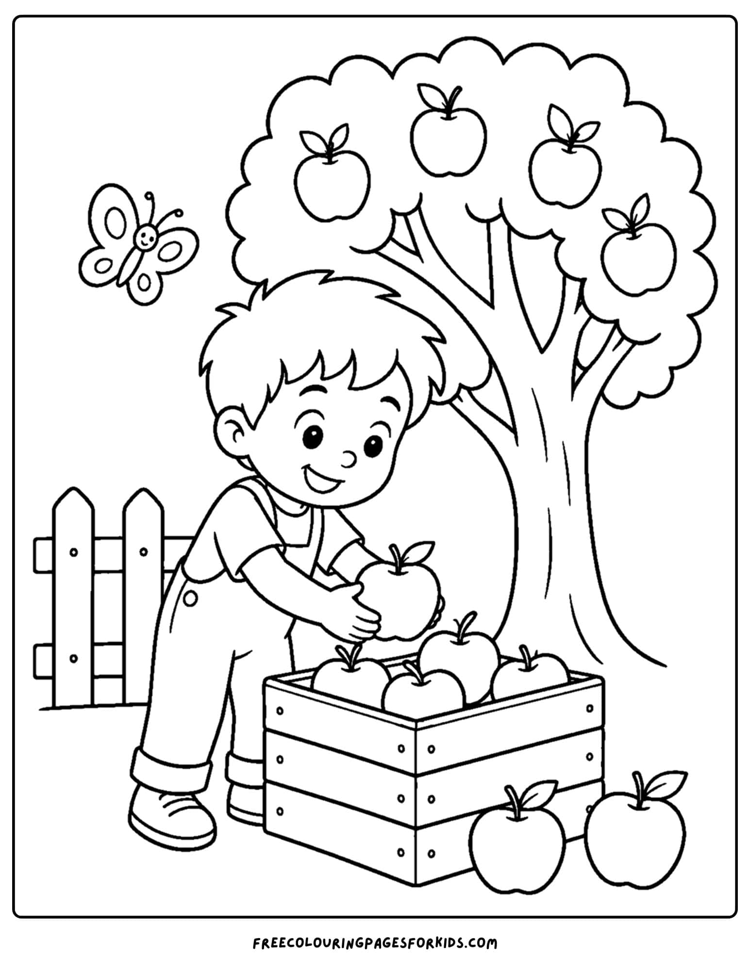 an apple picking coloring page showing a child putting apples in a crate from the tree
