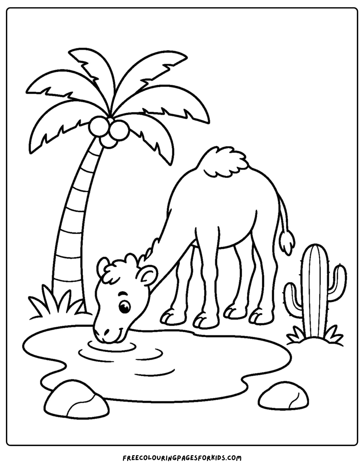 a desert coloring page showing a camel drinking from an oasis