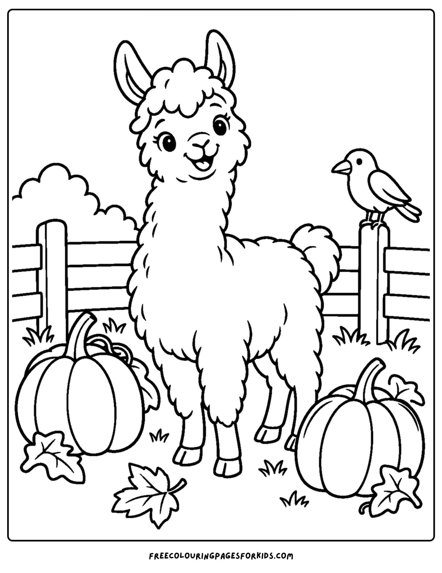 a coloring page of a llama in a pumpkin patch