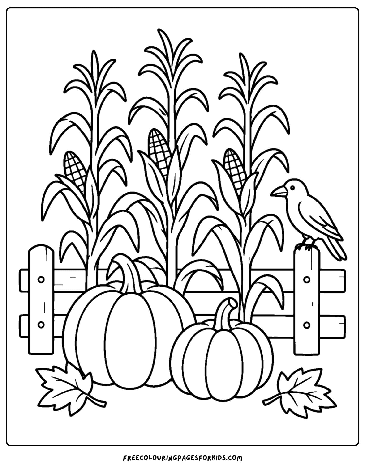 a coloring page of pumpkins beside cornstalks