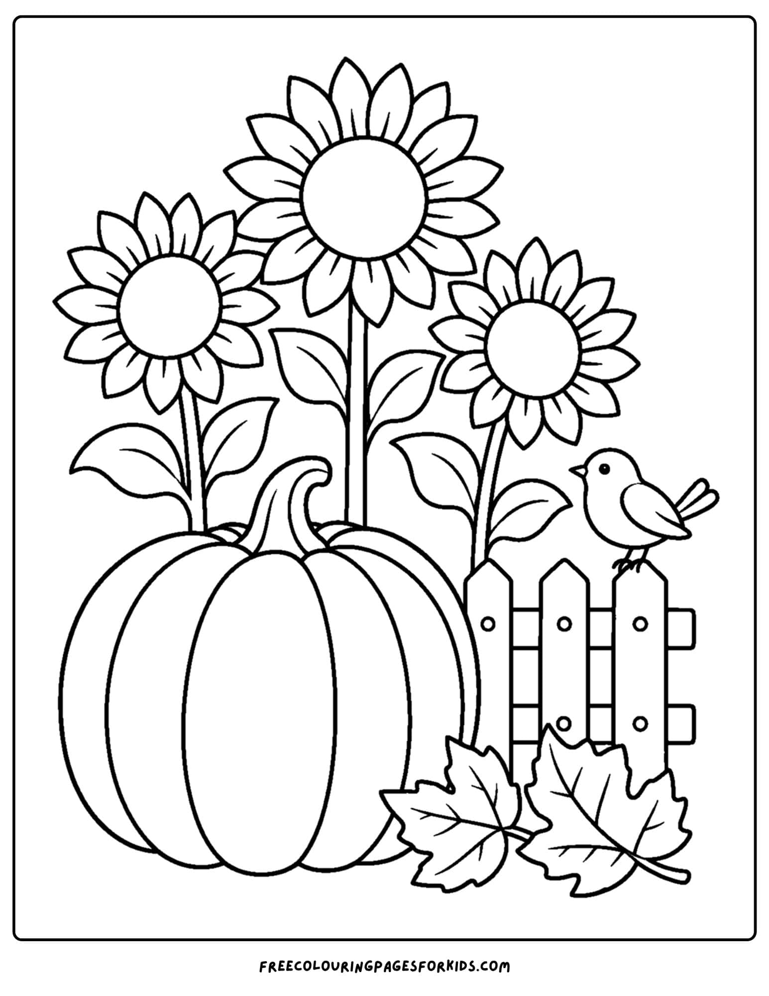a coloring page of a pumpkin beside a picket fence with sunflowers growing behind