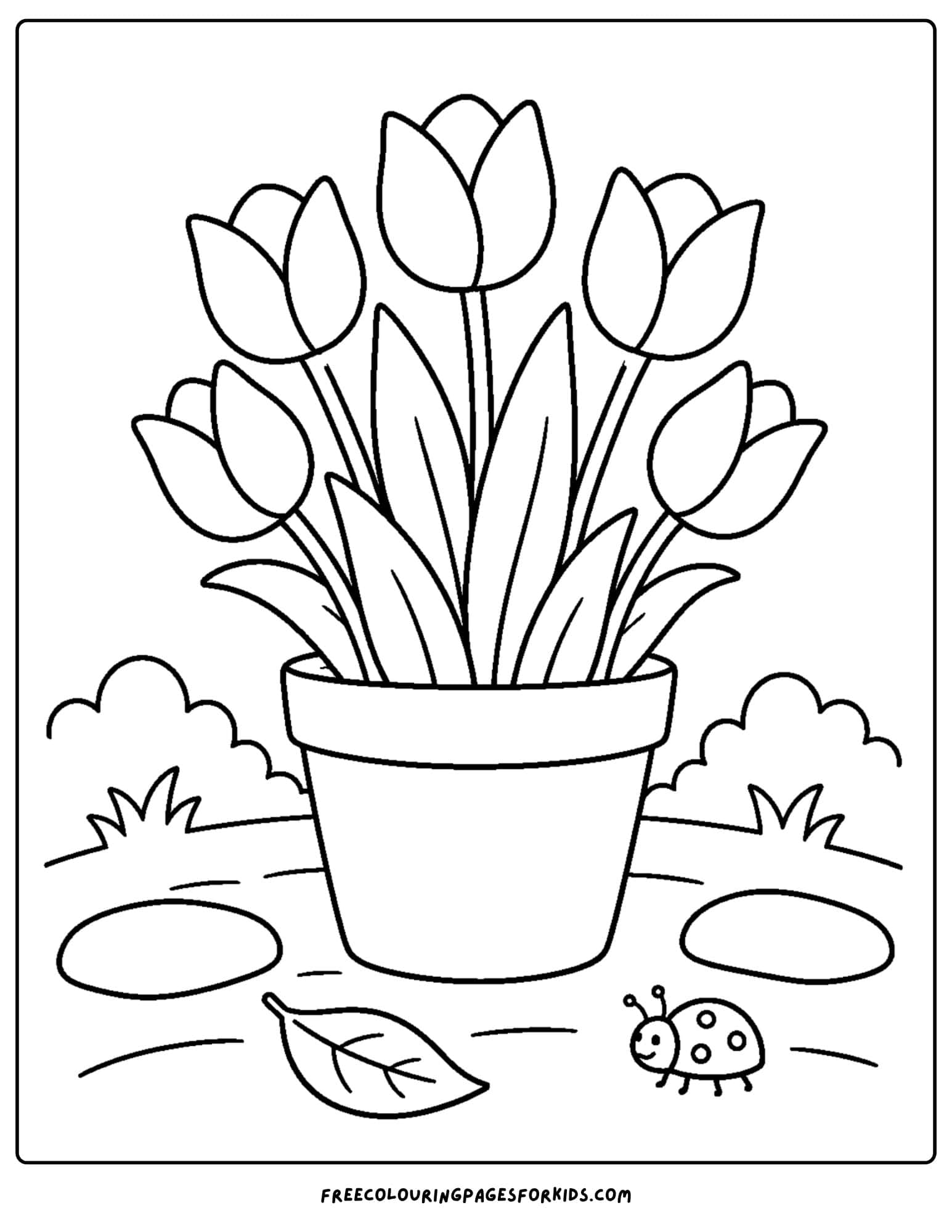 a tulip coloring page showing tulips growing in a pot