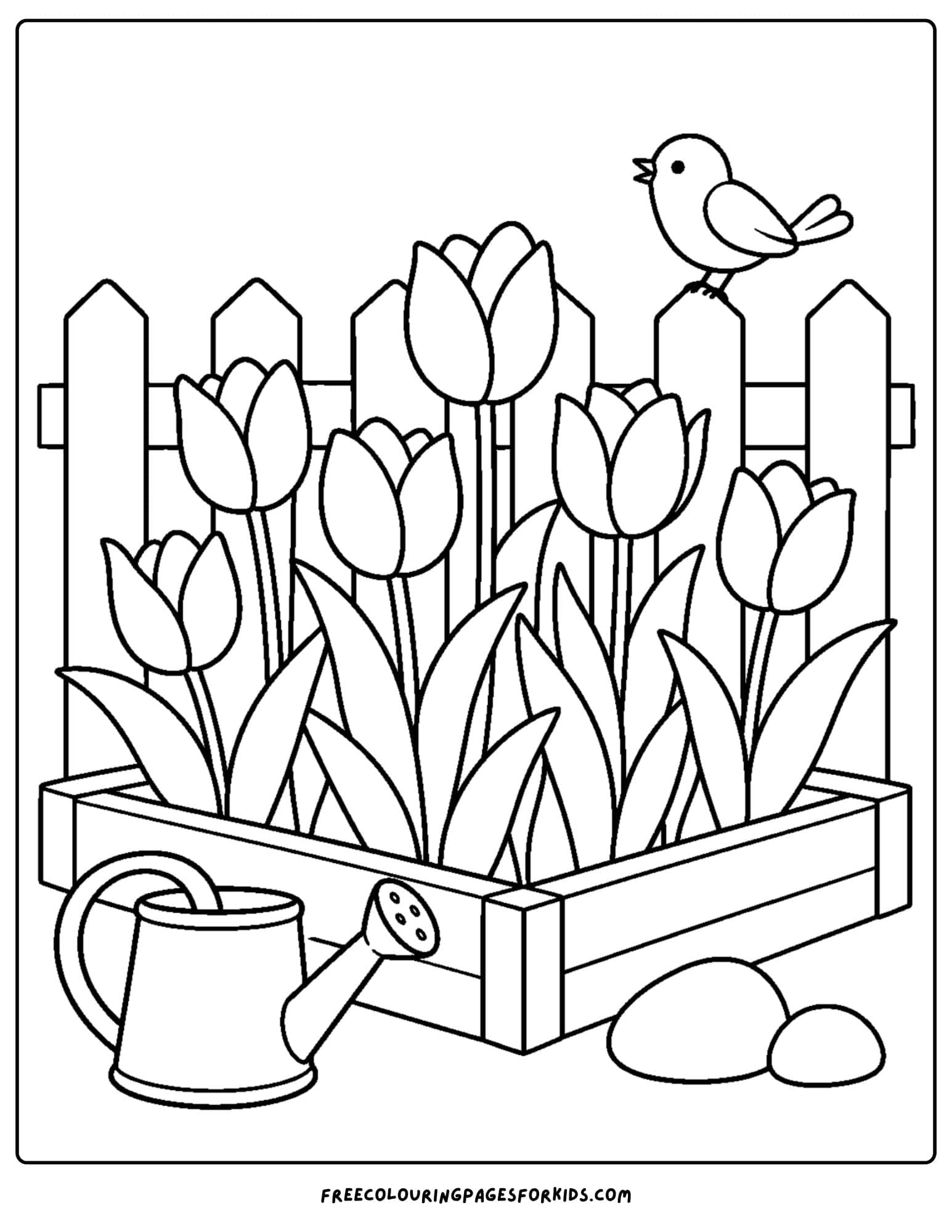 a tulip coloring page showing tulips growing in a garden beside a fence with a bird
