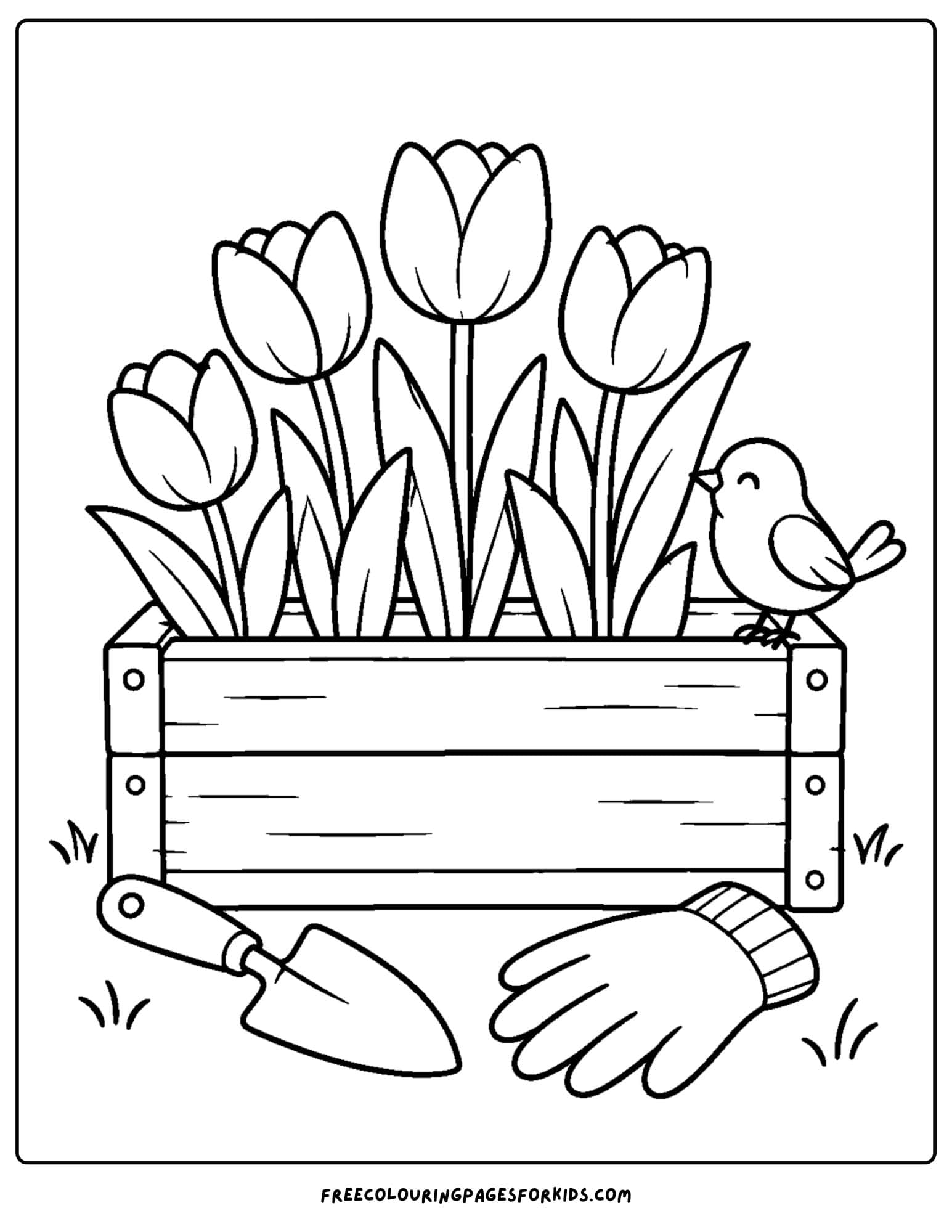 a tulip coloring page showing tulips in a wooden planter box